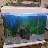 آکواریوم آکوا باهمه وسایل