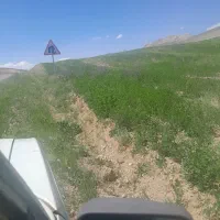 ۱هکتار دیمی