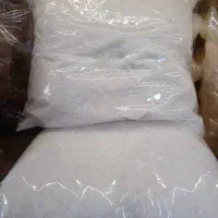 شکر نبات
