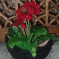 دو عدد گلدون