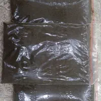 قرمه سبزی آماده