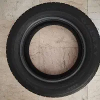 لاستیک گلدستون