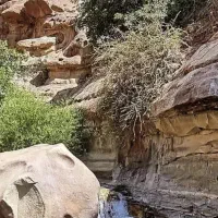 برنامه آبتنی نزدیک تهران