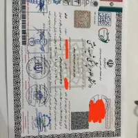صدور مدارک دانشگاهی و بین المللی