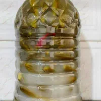خیارشور خانگی