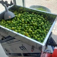 دستگاه آبگیری لیمو