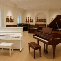 پیانو ها ویژه مدل privia حرفه ای