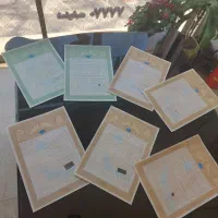 زمین200متری100ملیون پیش مابقی اقساط10ماه شاهینشهر