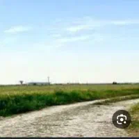 زمین-کشاورزی