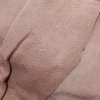 موکت کالباسی