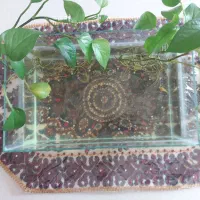 آکواریوم با ماهی و غذا