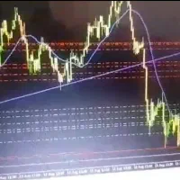 اموزش خصوصی ترید فارکس و کریپتو به روش بانکها