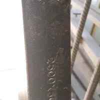 شاخک لیفتراک اروپایی