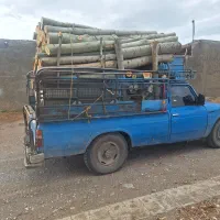 خرید انواع چوب و درخت