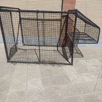 باربند وانتی