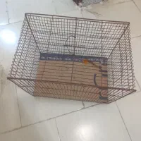 قفس