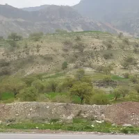 فروش زمین باغی سیاسرد