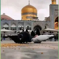 مشهد مقدس با قطار