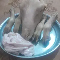 تمیزکردن کله پاچه