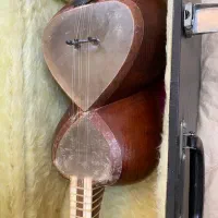 تار رضوی|سازهای سنتی|اصفهان, سعادت‌آباد|دیوار