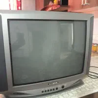 تلویزیون