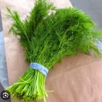 شوید خشک سرگل تازه و معطر اعلا پخش عمده و جزیی