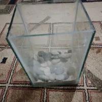 اپرفن کامل باسنگ دریا