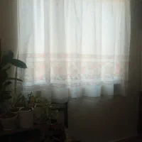 دو پرده