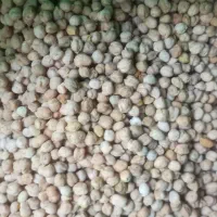 نخود درجه یک کیلو 200