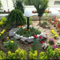 خدمات باغبانی باغچه کاری گل کاری هرس درخت کاشت گل