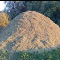 علف