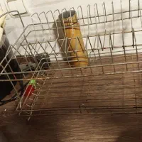 آب چکان و آویز لیوان