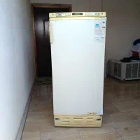 یخچال تمام فریزر الکترولوکس