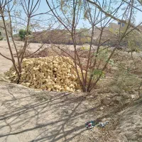 زمین فروشی