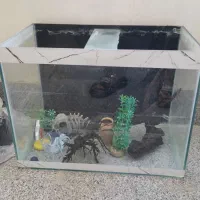 آکواریم ۶۰ سانتی مفت