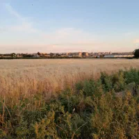 ۱۴۶۰متر بر کمربندی خلیج فارس