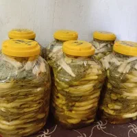 شیش عددترشی تمیزوتازه ده کیلویی هشت تاپنج کیلویی