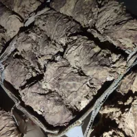 تنباکو