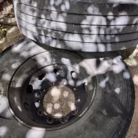 لاستیک تریلی