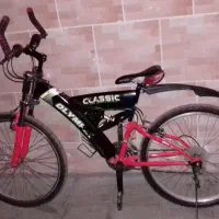دوچرخه بزرگسال حرفه ای سایز۲۹ سالم درحدنو