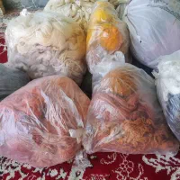 تعدادی خومه جهادی