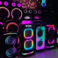 باند و اسپیکر میکرولب MICROLAB . ENZO انزو 300