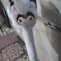 گوش گیر کرومی