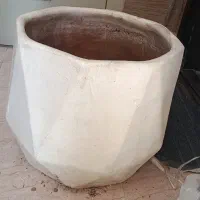 گلدان درختچه