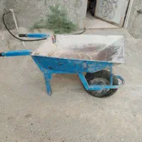 فرقون در حد نو
