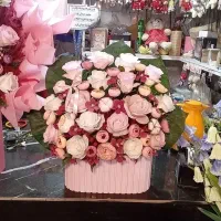 گلفروشی|گل و گیاه طبیعی|زنجان, |دیوار