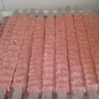 کوبیده آماده به سیخ