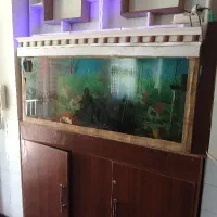 اکواریم‌بزرگ‌فروشی