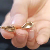 گل گوش یا گوشواره