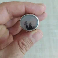 شجر قائن ،کار دست استاد نقرە کوب
